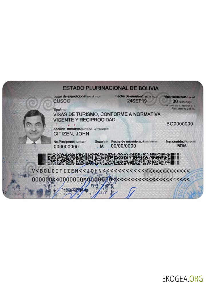 Visa BOLIVIE template